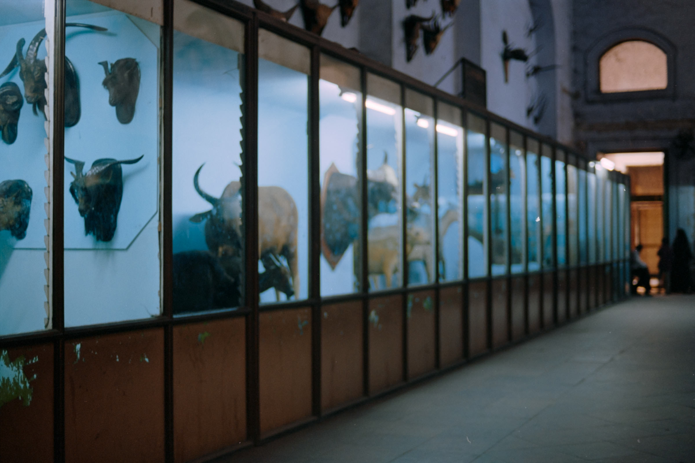 AHP film 2005 01 001 sc240825 img25 NLP